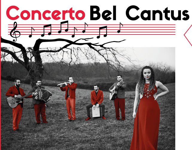 Concerto de Natal com Bel Cantus