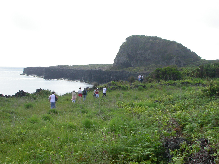 Acção de Limpeza na Zona Centro da Ponta da Ilha