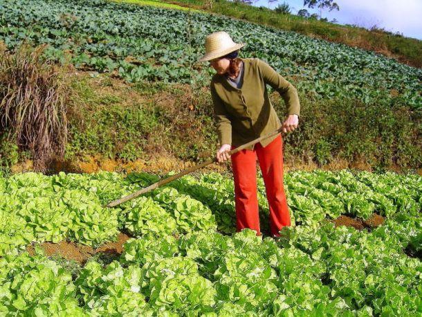 Read more about the article Colóquio sobre “O Papel da Mulher na Agricultura”